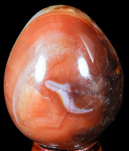 Colorful Carnelian Agate Egg #55534